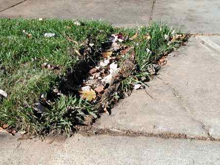 my punishment for being lawn-obsessed