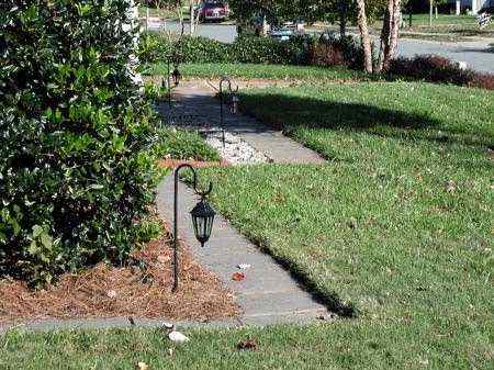 my lawn