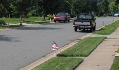 flags on street